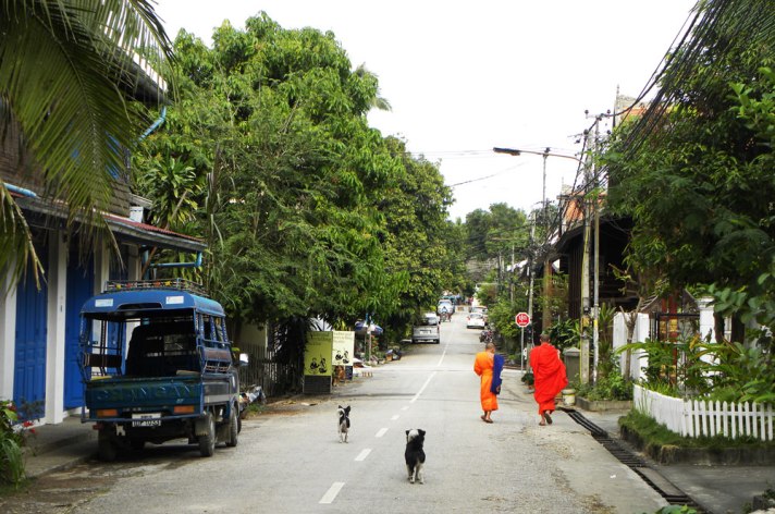 monks-and-dogs-crop